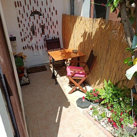 Sonja Apartment Premantura Zewnętrze zdjęcie